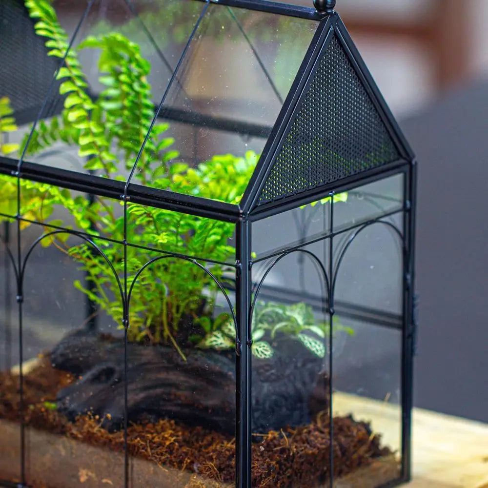 Glass Terrarium Enclosure