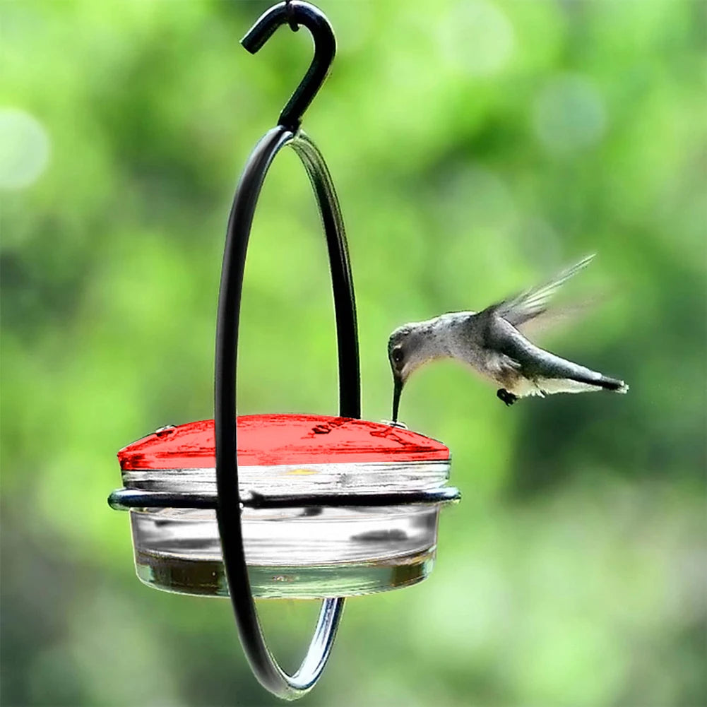 Hummingbird Feeder