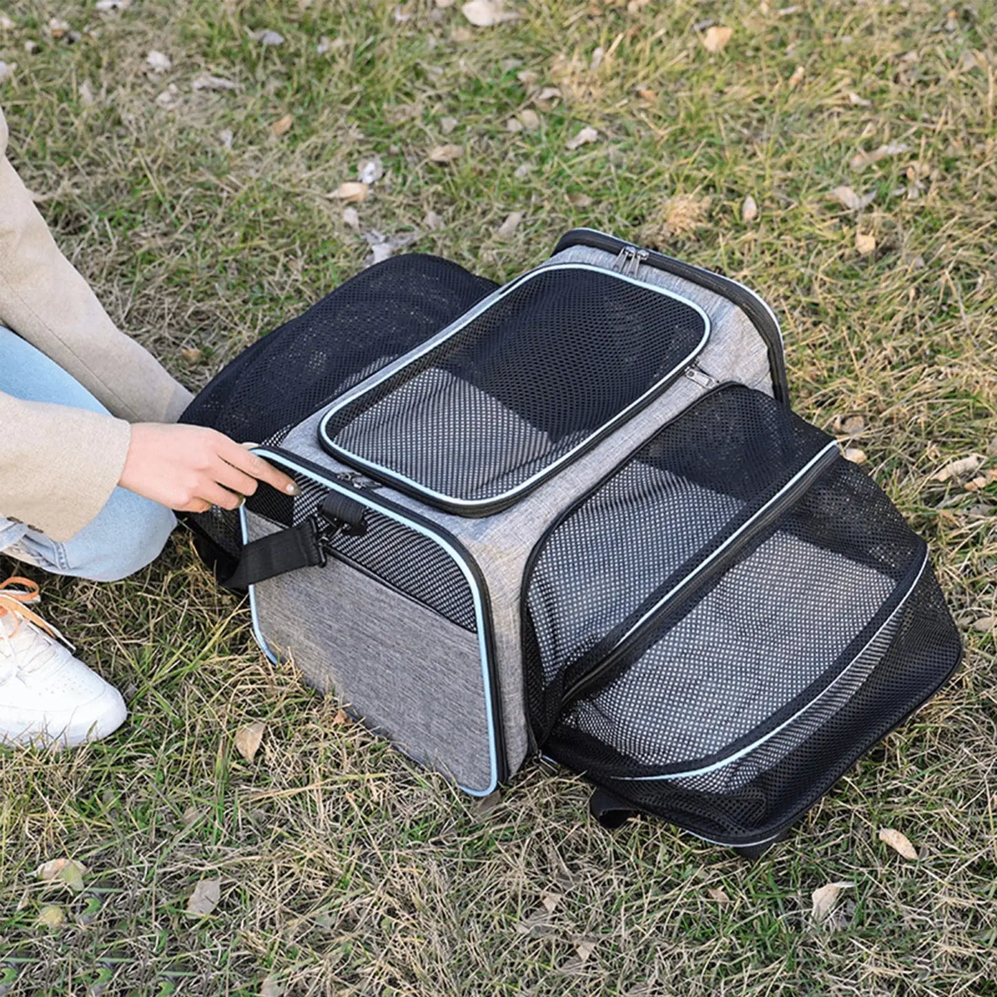 Airline Approved Soft Sided Pet Carrier