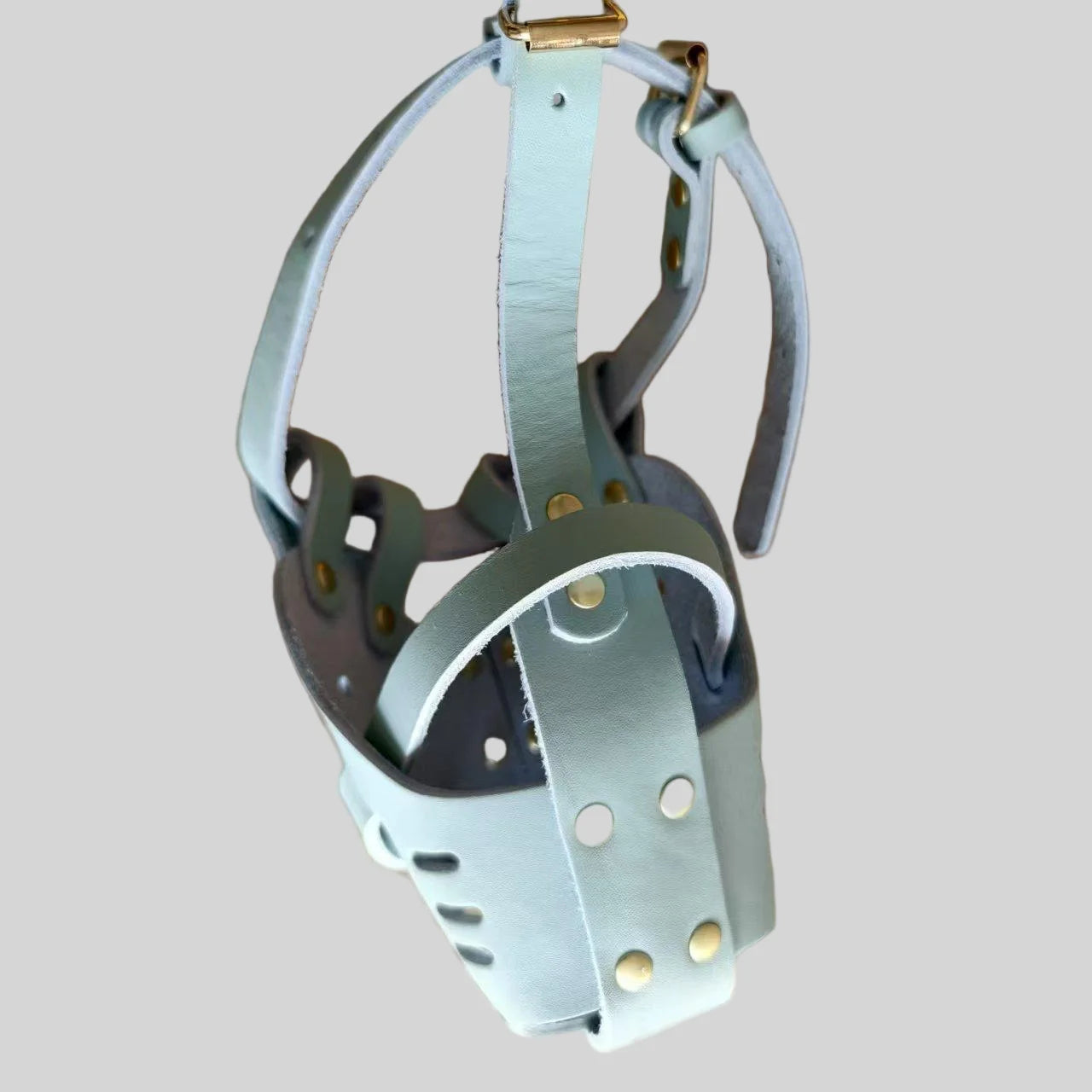 Dog Muzzle